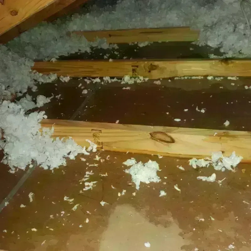 Attic Water Damage in Grafton, ND